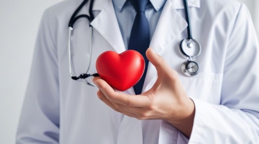 Сердечно-сосудистая система